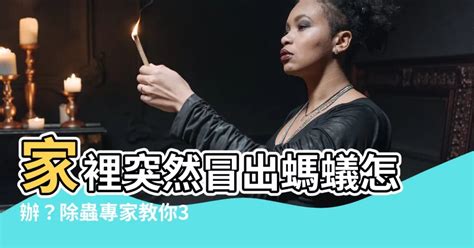 螞蟻入侵家裡|家裡有螞蟻怎麼辦？專家告訴你5招如何消滅螞蟻大軍。